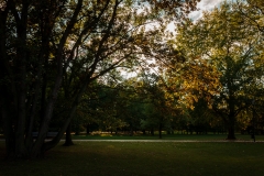 © 2010-2019 Absenth Photography.