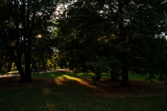 © 2010-2019 Absenth Photography.