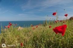 Tiulenovo, Bulgaria. Tiulenovo, Bulgaria.